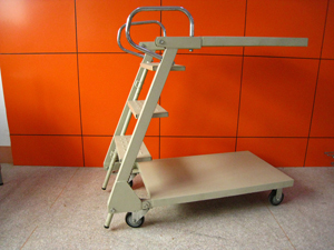 Metal Ladder Cart with Wheels (YRD-D2)