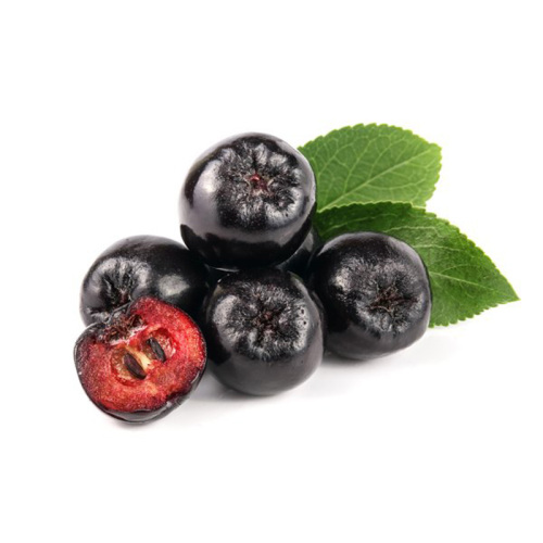 Black Aronia Chokeberry Extract