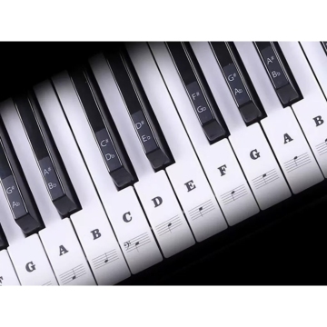 Piano Keyboard Stickers for Beginners - Removable Key Labels for Kids