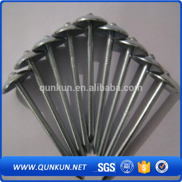 polish common china roofing nails