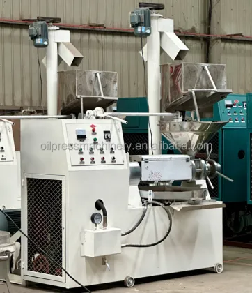 Soya Moringa Canola Oil Press Machine: Cold Pressed Oil Expeller with Vacuum Filter