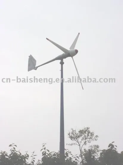 1000W Wind turbine Generator Set