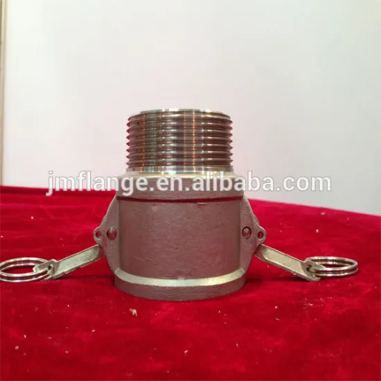 stainless steel 304/316l B coupler male