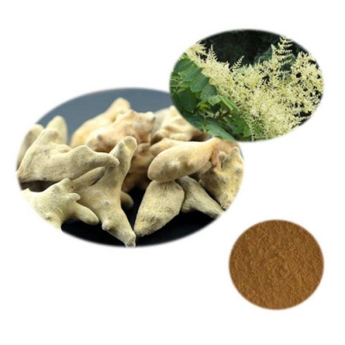 Natural Gallnut Extract Powder