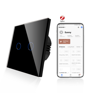 Bingoelec ZigBee Tuya Smart 2 Gang 600W EU Glass Touch Light Wall Switch
