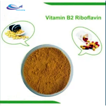 Beta-Nicotinamide Mononucleotide Powder Sell best price Vitamin B1,B2,B3,B5 B6, B9, B12 Supplier
