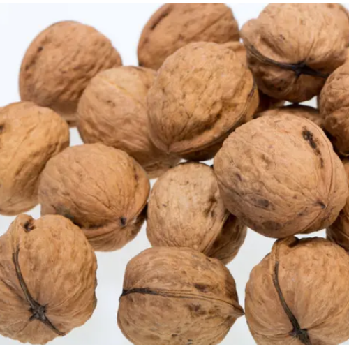 Nueces crudas de bajo precio al por mayor y núcleos orgánicos de Xinjiang