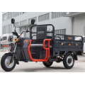 Hot Selling Convenient Vehicle Electric Tricycle