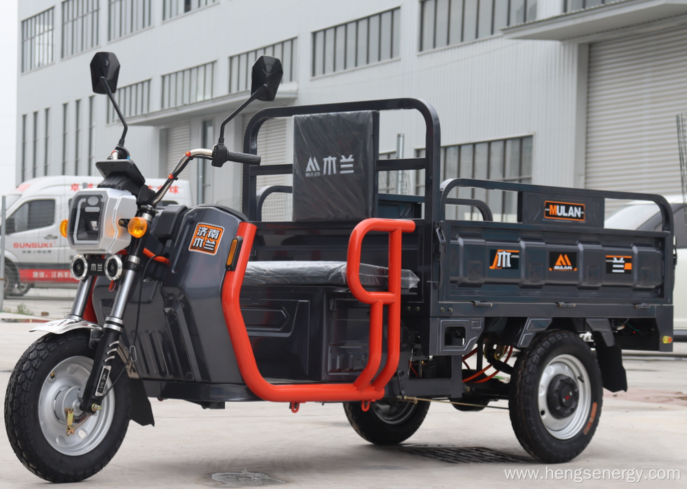 Adult 1000w Electric Tricycle Three Wheels With Eec