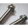 Grade 5 titanium alloy screw