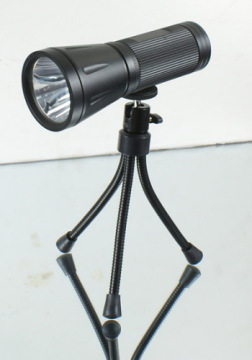 Led Fishlight Light 