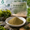 Regulador natural del crecimiento vegetal en polvo de extracto de algas marinas