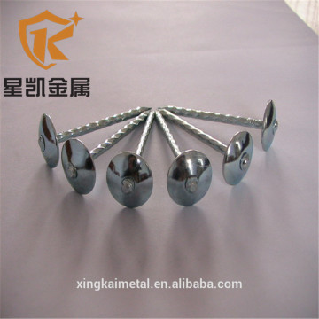 galvanized umbrella head roofing nails