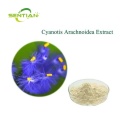 Cyanotis arachnoidea extract Ecdysone Ecdysterone powder