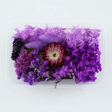 Wholesale Dried Flowers and Plants for Resin Art, Candles, and Jewelry