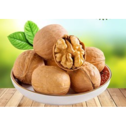 New Crop Walnut Xiner from Xinjiang