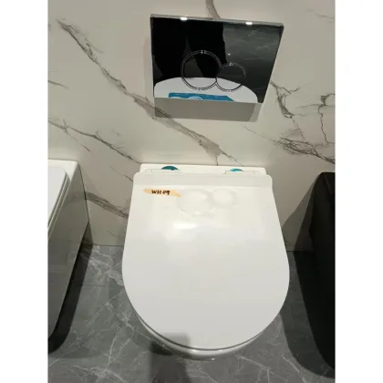 WC Rimless Wall Mounted Toilet