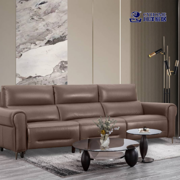 Sattes braunes Ledersofa für das Wohnzimmer