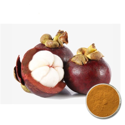 Mangosteen Peel Extract 4：1ポリフェノール