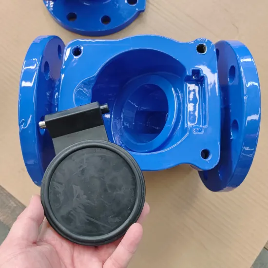 800 Pornd Grade Valves Cast Ductile Iron Check Valve