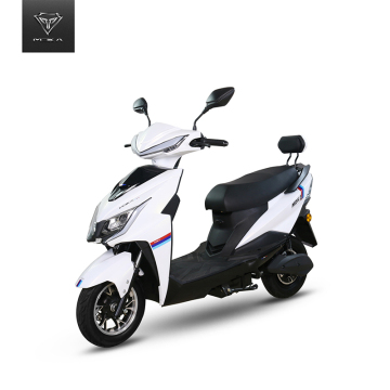 EEC COC Lithium Battery 60V20Ah/30Ah Max Type 2000W E motorcycles for Adult