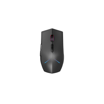 2022 OEM ODM RGB Illuminated Computer Mouse with 4000 DPI for Gaming - Wireless Technology