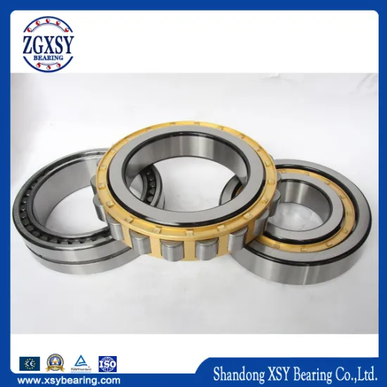 China Supplier Cylindrical Roller Bearing