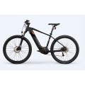 Bike elettrica da 1000 watt personalizzata