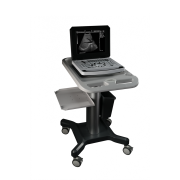 Macchina ad ultrasuoni Doppler Doppler per notebook per cardiaco