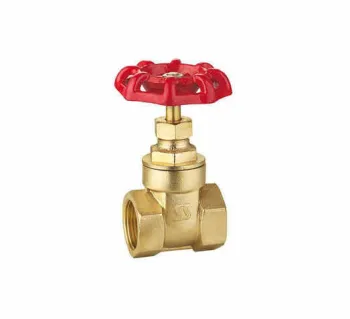 Bsp / Iso228 Thread Brass Gate Valve With Iron Handle Custom