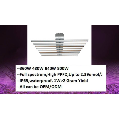 Nieuwe 480W 640W 800W LED GROW Light Bar