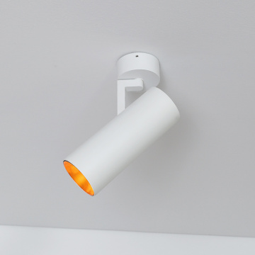 15W LED -Oberflächenhalterung Downlight - dimmbare Wechselstromdeckleuchte