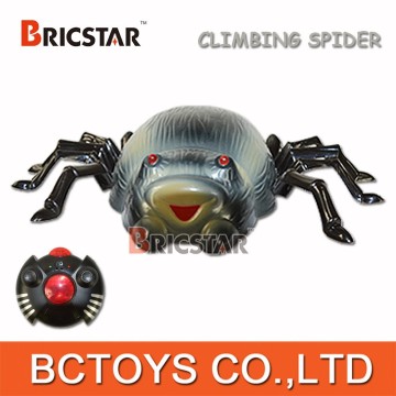 Funny RC animal toy, insect RC toy, climbing spider toy rc for kids.