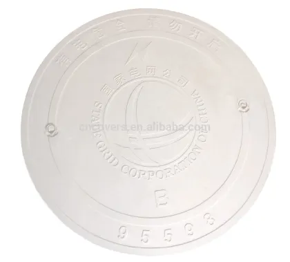 anti-theft water meter cover