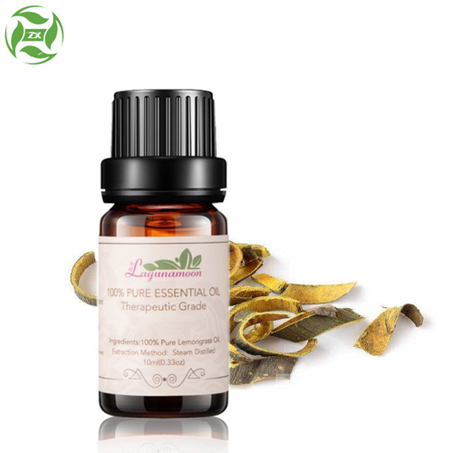 Natural Herbal Oil Cortex Phellodendri Oil Essential Oil