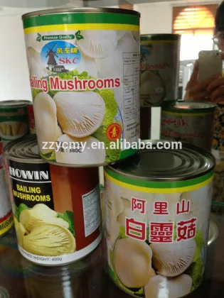 Canned Abalone Mushroom Manufacturers
