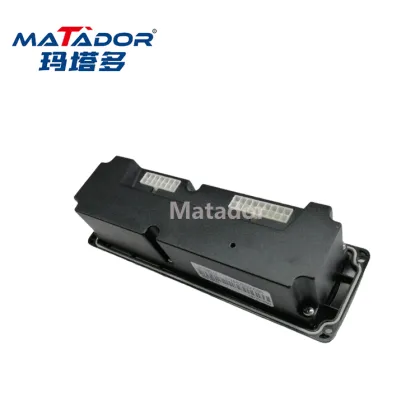 Dingli DL-0000650A Screen Display for Dingli GTBZ20AE