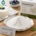 Ingrediente probiótico de Pediococcus Lactis