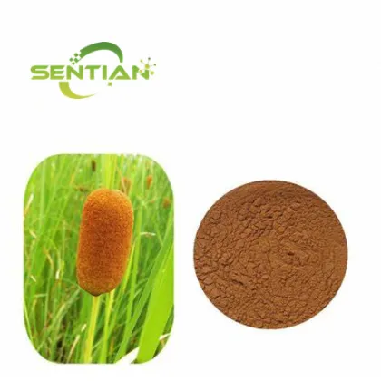 Pu Huang Chinese Cattail Pollen Extract