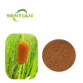 /msite/products/detail/productid/66553646/id/1521433.html