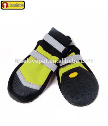 Waterproof dog sports shoes