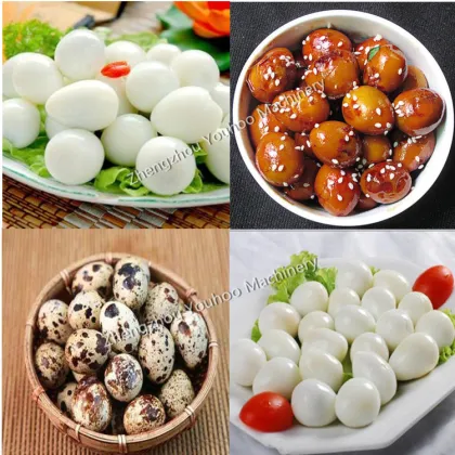 Automated Safety Quail Egg Sheller: Your Efficient Solution for Quail Egg Peeling