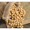 Organic SOYA Beans 450g | GMO Free |Vegan