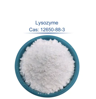 High-Purity Lysozyme Enzyme for Research