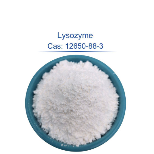 High-Purity Lysozyme Enzyme for Research