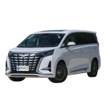 BYD Denza DM-i New Energy Luxury MPV: 7 Seater High-Speed Vehicle