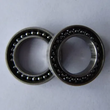 Max type bearing