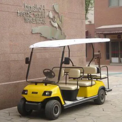 Electric Golf Cart Battery: 6-Passenger Vehicle Solutions