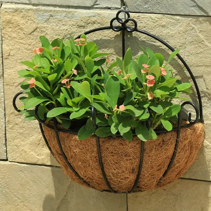 Garden Hanging Coconut Basket Liner Balcony Vegetable Flower Growing Pot Basket Liners Planter Wall Home Decoration