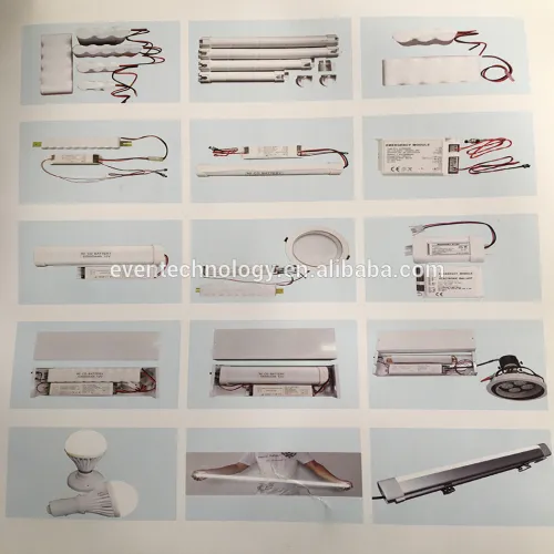Customized Emergency Light Conversion Pack For 25w Led Downlight 2